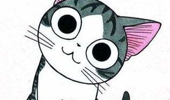 猫漫画,猫漫画里的欢乐时光